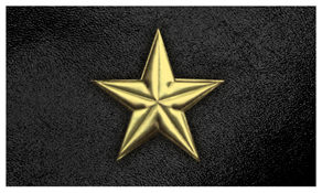 DNSEMP-C-430-GD-BK Star Gold-Black